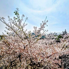 우리끼리 통하는 시 한 모금 썸네일