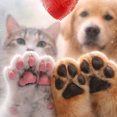 질투 — 비교라는 그림자  썸네일