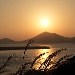 경의선을 탄다 썸네일