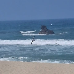 거절할 용기로 썸네일