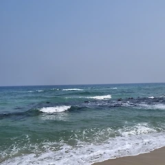 밀려오는 감격의 파도에 올라타며 썸네일