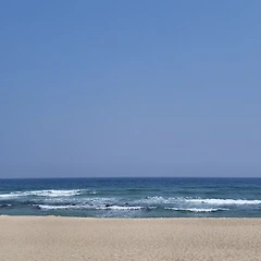 저 해안선 너머에는 무엇이 있을까 썸네일