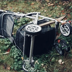 저출산은 SNS가 만든 생존본능이다 썸네일