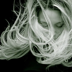 검은 머리 흰머리 썸네일