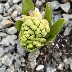 좋은 일도, 나쁜 일도 썸네일