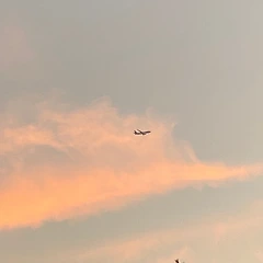 언제든 다시 시작할 수 있음을 썸네일