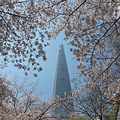 벚꽃 엔딩 썸네일