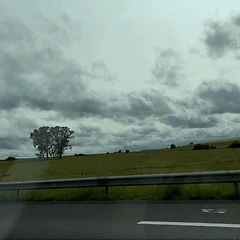 버거씨네 대가족을 만나게 되었다. 썸네일