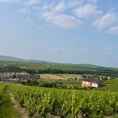 아름다운 보졸레에서 10km 대가족 행군 썸네일