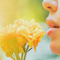 안녕, 봄 썸네일