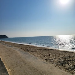 말씀을 살다 썸네일