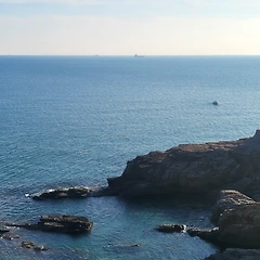 나의 인생 나침반 썸네일