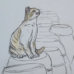 혼자라고 외로울까 썸네일