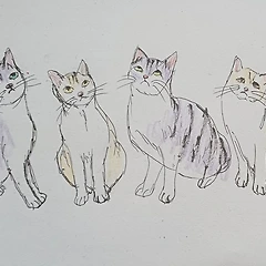 함부로 칭찬하지 마시길…… 썸네일