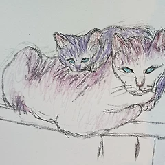 시간이란 썸네일