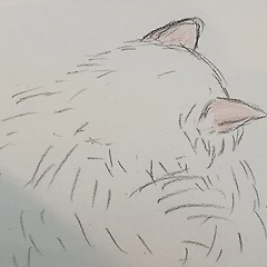 속수무책 튀어나오는 말들 썸네일