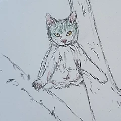 불안과 선택 썸네일