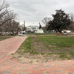 트럼프 때문에 브런치 글을 못 쓸 줄이야 썸네일