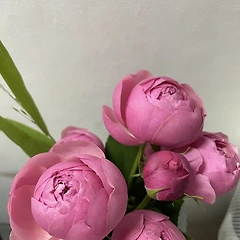 계절보다 앞서는 나에 감성 썸네일