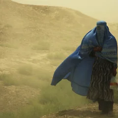 8. 첫날밤의 기억 썸네일