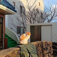 삶의 배당금 만들기 썸네일