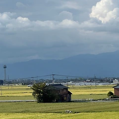 멍청이의 후쿠오카 야나가와 여행 중 생긴 일 썸네일