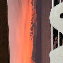 어쩌다 세부 10박 11일 모알보알 썸네일