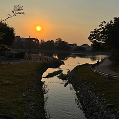 치앙마이에서 꼭 참여하면 좋은 커뮤니티 _요가인더파크 썸네일