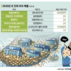 대형 매물에 대한 개인적인 생각 썸네일