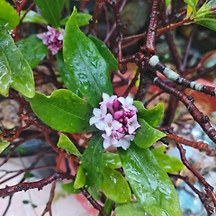 일상에서 만난 선한 사람들 덕분이다 썸네일