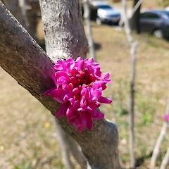 말로 주는 상처가 더 크다 썸네일