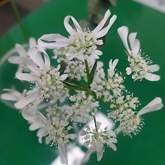 이해하려는 노력도 필요했다 썸네일