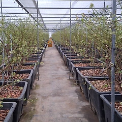 2월을 건너가며 썸네일