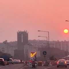 나는 될 사람 썸네일