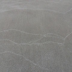 파도는 화가 썸네일