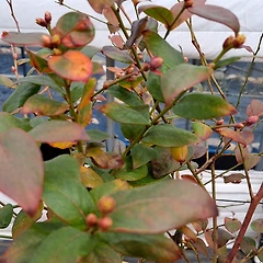 덜어낸 후에 차오르는 것 썸네일