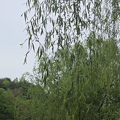 천천히 걸을수록 보이는 것들 썸네일