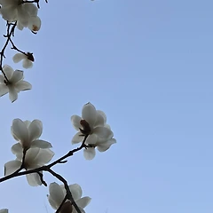 스스로 하게 두었으면 됐을 일을 썸네일