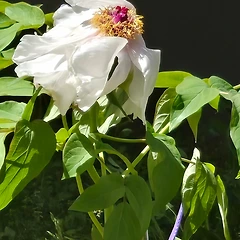 나를 잃지 않는 관계 썸네일