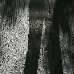 열등감이 만든 괴물 썸네일