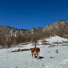 초저전력 인간2 썸네일