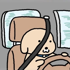 이 사람과 어떻게 같이 잘 살 수 있을까? 썸네일