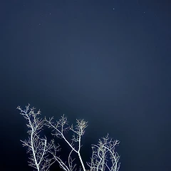 멍함의 결 썸네일