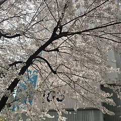 잔잔한 파도로 남은 세월 썸네일