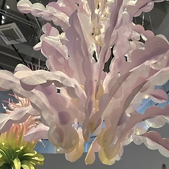 행복은 작은 것에서부터 썸네일