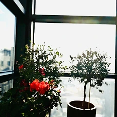 어머니가 차려 주신 마지막 생일상 썸네일