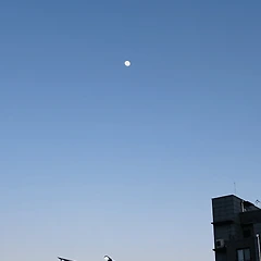 에필로그 썸네일