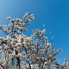 자기 자신에게 용기를 주는 사람 썸네일