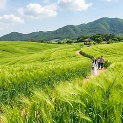 보리, 문명을 지탱한 가장 조용한 곡물,음식인문학 썸네일
