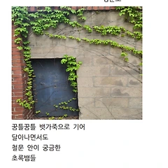 비밀의 문 썸네일